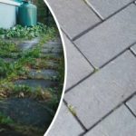 Korov u vašem dvorištu nestat će preko noći ako ga