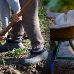 Sjetveni kalendar za rujan 2025.: što treba učiniti u vrtu