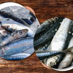 Odakle dolaze haringe i skuša u trgovinama i kako odrediti