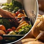 Umjesto mreža i vrećica: kako će jednostavan dizajn sačuvati urod